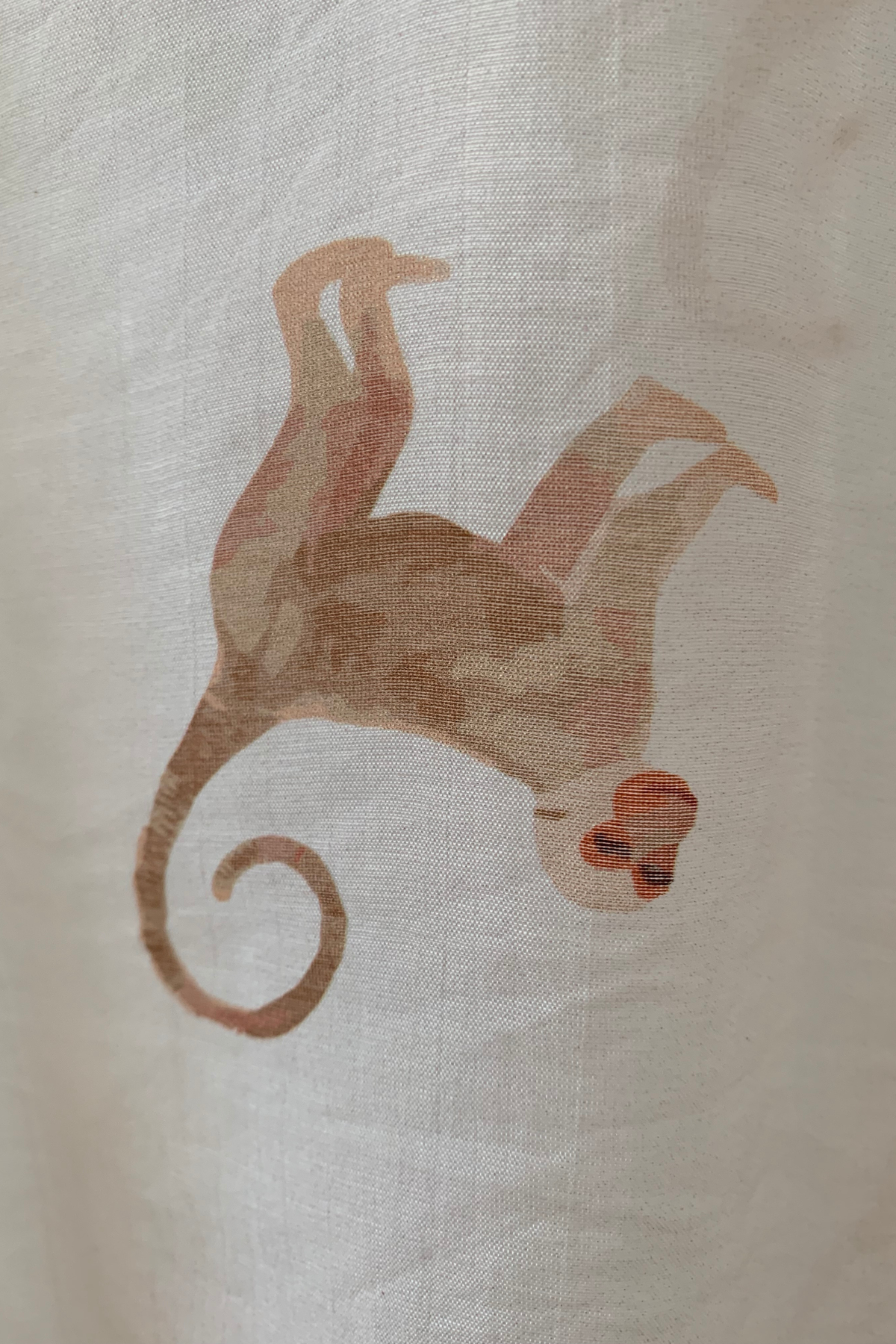 Have One Bluse Monkey transparent